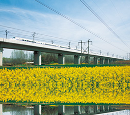 II